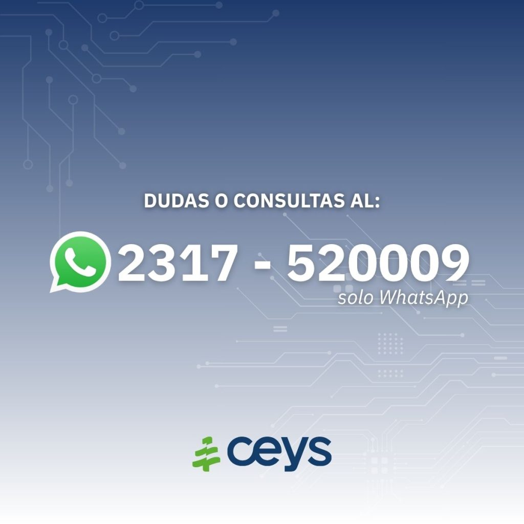 NUEVO CHATBOT!