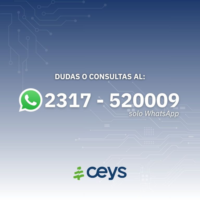 NUEVO CHATBOT!